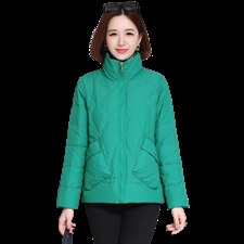 2022新款简约时尚立领棉服休闲百搭显瘦保暖外套，女装棉衣/棉服，婷思杰（原婷想服饰）