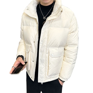 2025冬季新款立领羽绒服纯色休闲潮牌帅气大口袋保暖YR8023-P185图片