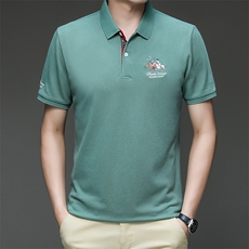 中年保罗丅恤衬衫领衣服Polo衫男士夏季短袖T恤纯棉翻领半袖体恤，男装T恤，电商B212（原钱塘6029）