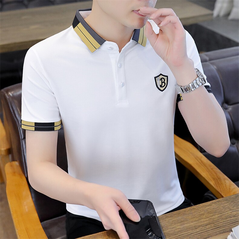 短袖T恤男翻领刺绣上衣服夏季中年男士休闲时尚半袖体恤衫男装,男装T恤,电商B212（原钱塘6029）
