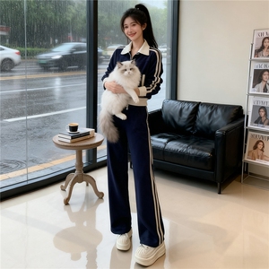 潮牌立领时尚运动套装女秋新款开衫拼接条纹短款外套阔腿裤两件套图片