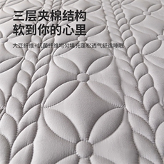 2023新款A类母婴级大豆夹棉防水床笠，床单，一起卖家纺
