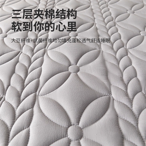 2023新款A类母婴级大豆夹棉防水床笠图片