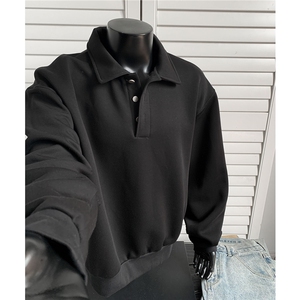 主推POLO衫卫衣秋季翻领卫衣cleanfit长袖T恤衫男装外套D464特P38图片