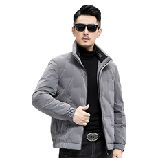 B2365钱塘2020-3时尚休闲厚款百搭新款冬季中年男士羽绒服P158，男装羽绒服，钱塘207-3