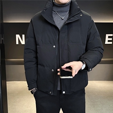 标50绒羽绒服男冬季2025新款外套A313-3301-P205劵后298，男装羽绒服，电商A313