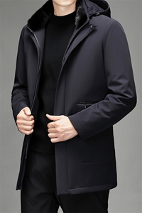CK6610钱塘2020-2中年男士冬季厚款时尚休闲商务百搭羽绒服P490图片