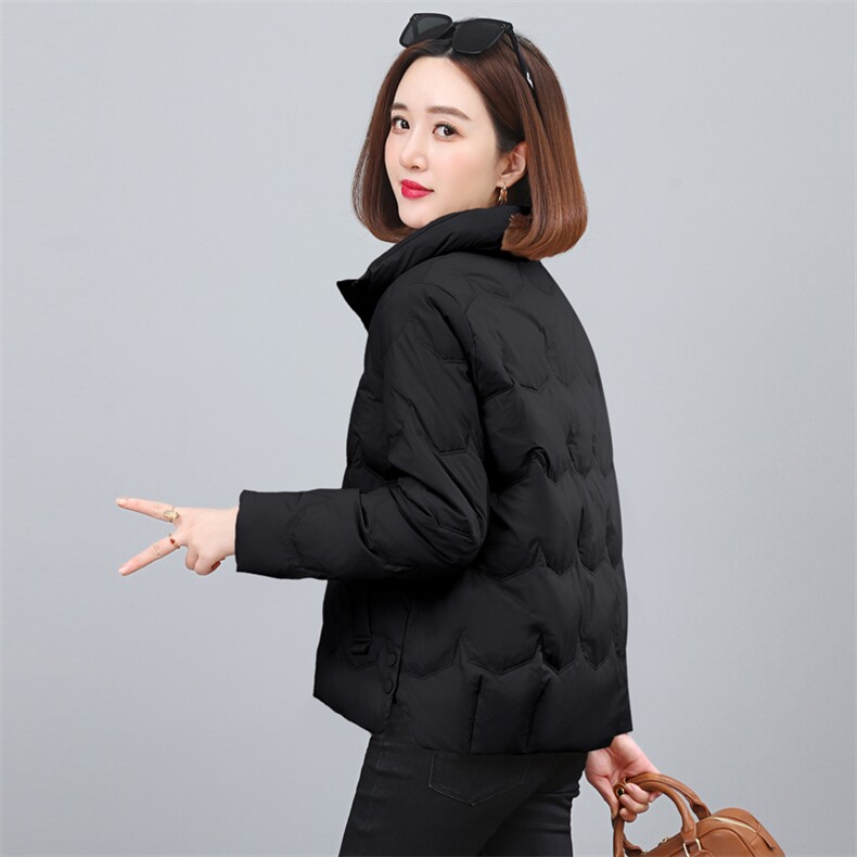 2023年冬季气质立领时尚休闲羽绒服,女装羽绒服,依恋蒂丝