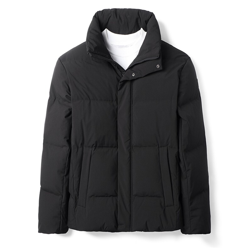 鹅绒羽绒服中青年男短款冬季休闲立领外套2023新款DFLDY5007-P290,男装羽绒服,电商B212（原钱塘6029）
