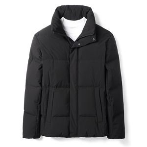 鹅绒羽绒服中青年男短款冬季休闲立领外套2023新款DFLDY5007-P290图片