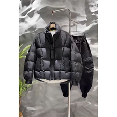 (网图)50白鸭绒276-318克大拉链设计感羽绒服313B-25900-P230，男装羽绒服，星座313B