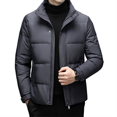 DF802钱塘2020-2冬季厚款时尚休闲简约中年男士立领羽绒服P230，男装羽绒服，钱塘207-2