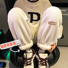 冬季新款抖音品质加厚加绒保暖羊羔绒休闲裤B315-K5428-P65控78，男装棉衣，电商B315