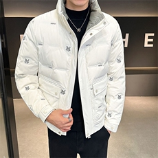 2025新款店主风男士立领羽绒服高级感潮流时尚外套YR8097-P145，男装羽绒服，电商A413