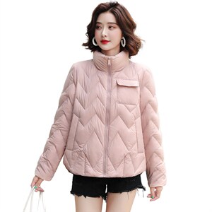 2021冬季新款羽绒服立领口袋款90白鸭绒休闲款纯色图片