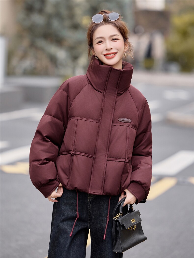 时尚立领短款白鸭绒羽绒服女2025冬季新款洋气减龄羽绒外套上衣,女装羽绒服,余墨