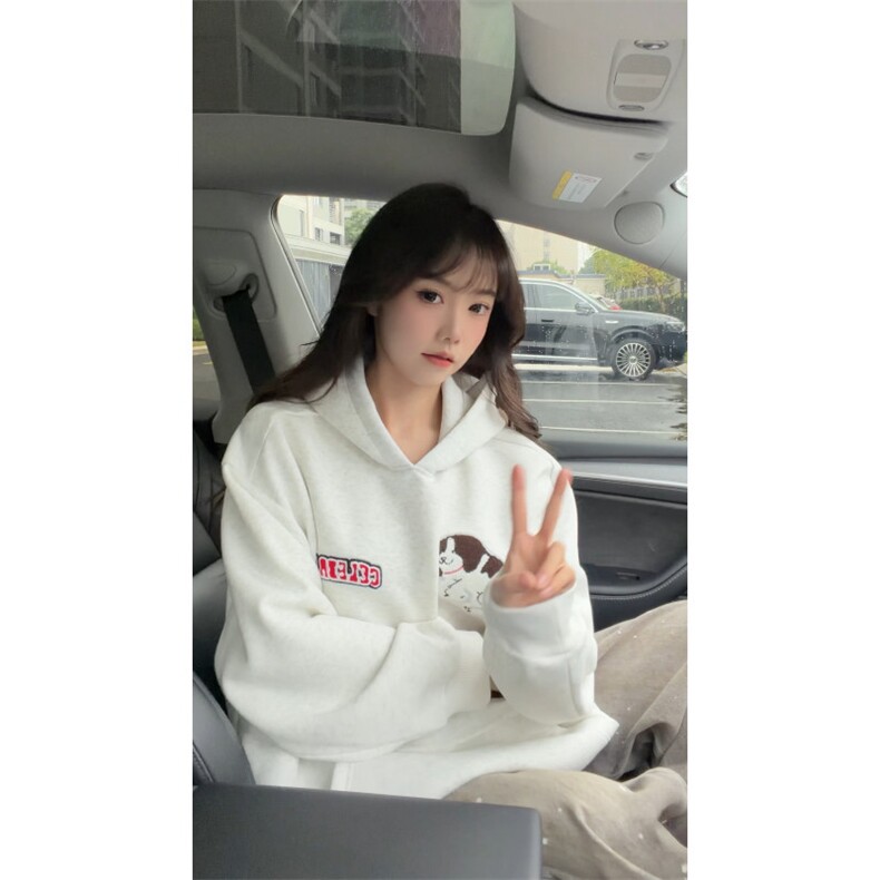 WY10191-特P55加绒特P60美式重磅刺绣连帽帽卫衣大码套头上衣,男装卫衣,电商A059