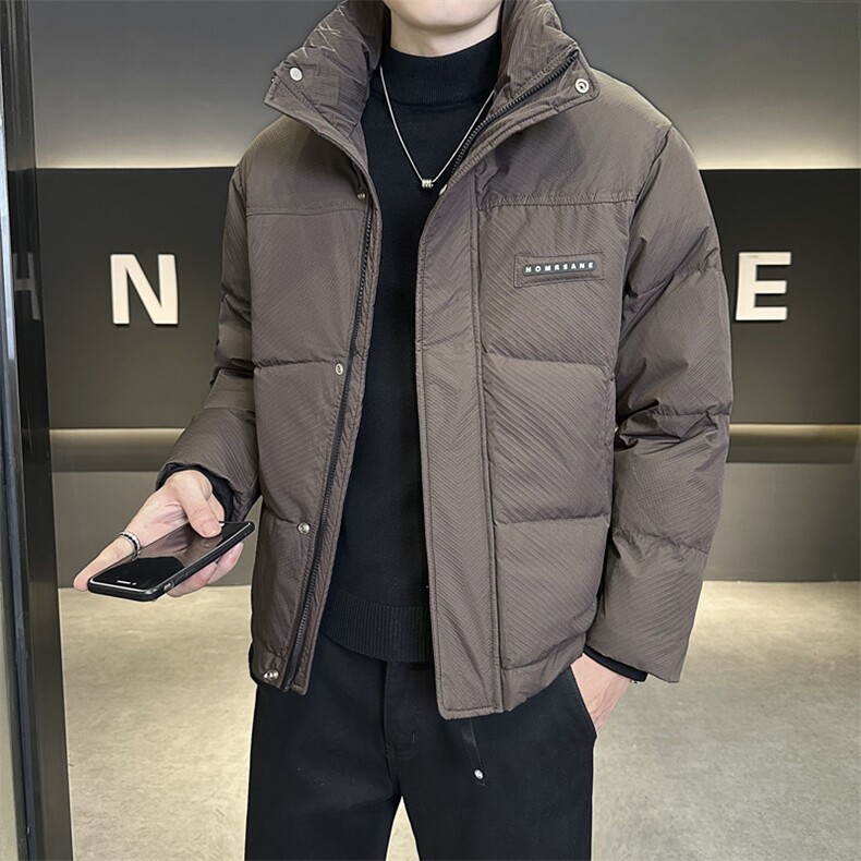 店主风2025年新款时尚立领潮流保暖羽绒服男A236-G66-P195,男装羽绒服,电商A236