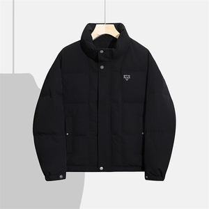 2025冬季DS-A225标新款男士立领白鸭绒羽绒服37858-P165图片