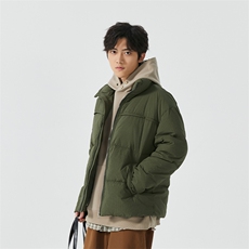 新标90白鸭绒简约休闲立领外套纯色加厚羽绒服ESY0212-P210，男装羽绒服，电商B306