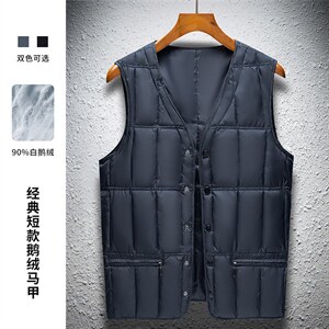 BD2101钱塘2020-2中年男士休闲简约纯色加厚羽绒服马甲P130图片
