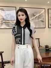 2022夏季新品韩版时尚显瘦百搭气质小衫，其它，婉伦