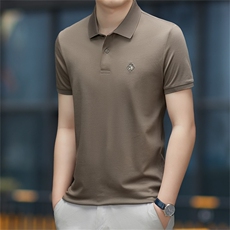 polo衫中年商务休闲男装夏季新款男士短袖T恤半袖翻领宽松上衣服，男装Polo衫，电商B212（原钱塘6029）