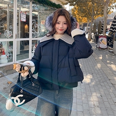 数据款现货大货已到店90绒双层领羽绒服6965-P365-K548，女装羽绒服，2D034
