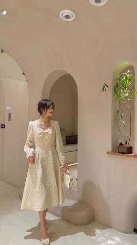 秋装新款款连衣裙精致款m-4xL，女装连衣裙，董与陈