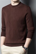 CA906082钱塘2020-2春秋薄款时尚休闲中年男士百搭羊毛衫P175，男装针织衫/毛衣，钱塘207-2