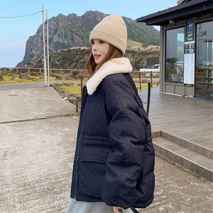 【现货】24冬羊羔毛拼接翻领短款羽绒服A838 P300 K438图片
