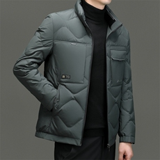 DF23163钱塘2020-2新款冬季时尚百搭立领简约中年男士羽绒服P243，男装羽绒服，钱塘207-2
