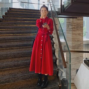 大货已出放心卖！新款法式明线灯芯绒连衣裙165A-6561-P110-K168图片