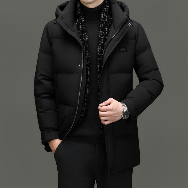 DF23319钱塘2020-2冬季厚款时尚休闲有帽中年男士羽绒服P333图片