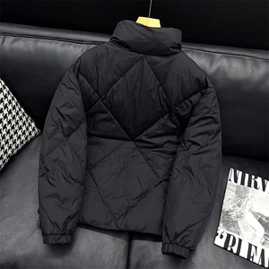 秋冬翻领短款棉衣菱格中青年棉服修身轻薄棉袄短外套TT601 P83图片
