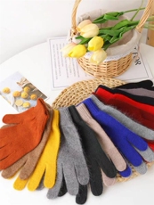 2025时尚百搭通勤简约休闲羊毛手套，手套，湘姗