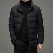 羽绒服男士2023年冬季新款立领休闲保暖休闲外套SNNYR862028-P245，男装羽绒服，电商B212（原钱塘6029）