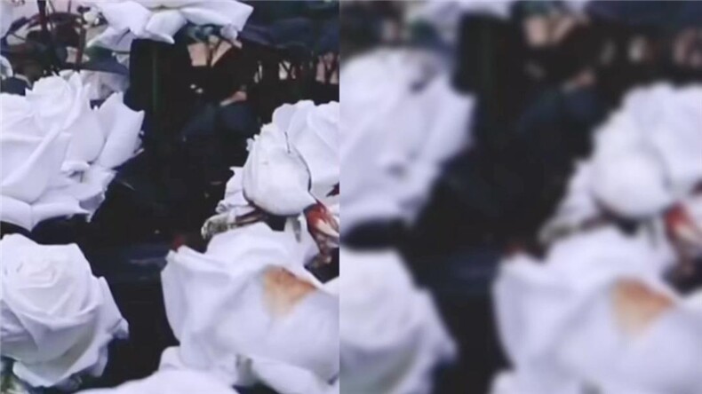 one to one ONETOONE141439