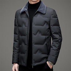DZ1F17钱塘2020-3冬季厚款商务休闲翻领中年男士羽绒服P195，男装羽绒服，钱塘207-3