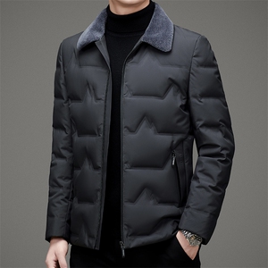 DZ1F17钱塘2020-3冬季厚款商务休闲翻领中年男士羽绒服P195图片