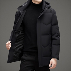 冬季白鸭绒羽绒服男商务脱卸帽时尚加厚保暖抗寒外套男百搭新款，男装羽绒服，钱塘6003（原4033）