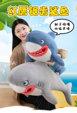 良荣商贸 红唇锯齿鲨鱼