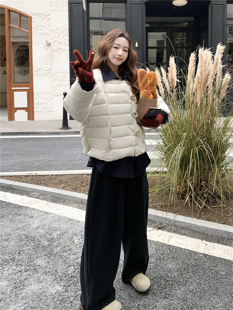 气质百搭小众简约风翻领羽绒服女冬2025新款洋气休闲轻薄保暖外套,女装羽绒服,艾米莉亚