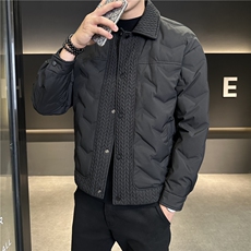 冬季现货主推灰鸭绒翻领潮流百搭羽绒服外套上衣男YR121P155，男装羽绒服，电商B226-2（原B217-2）