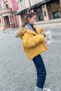 现货 冬季韩版女短款棉衣面包服 帽可卸 229-8820图片