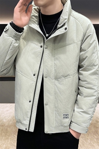 DS-A225标2025冬季新款男士立领时尚潮流白鸭绒羽绒服夹克55888图片