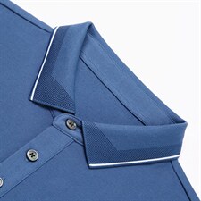 长袖t恤男2023秋季翻领纯色Polo衫商务休闲体恤中年时尚百搭衣服，男装T恤，电商B212（原钱塘6029）