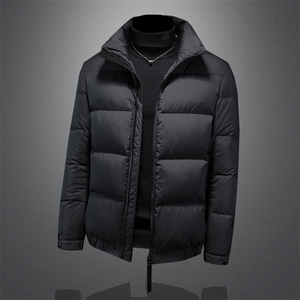 货号23166男士90绒羽绒服图片