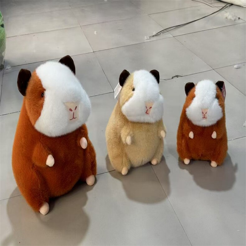 貂毛荷兰猪，天意毛绒玩具