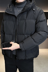 店主风 2025新标90白鸭连帽面包服短款羽绒服男LMS2503-P330图片